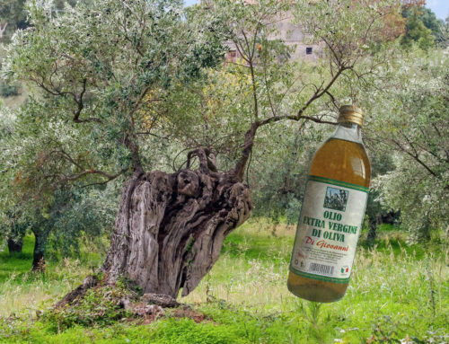 L’Olio Extra Vergine D’oliva